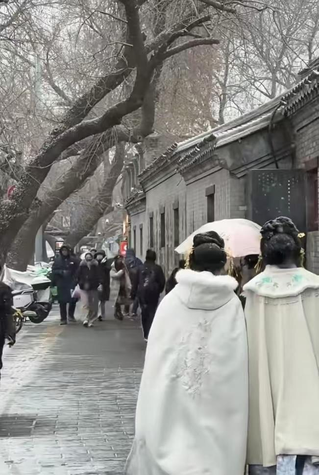 故宫赏雪「人山人海」。(视频截屏)