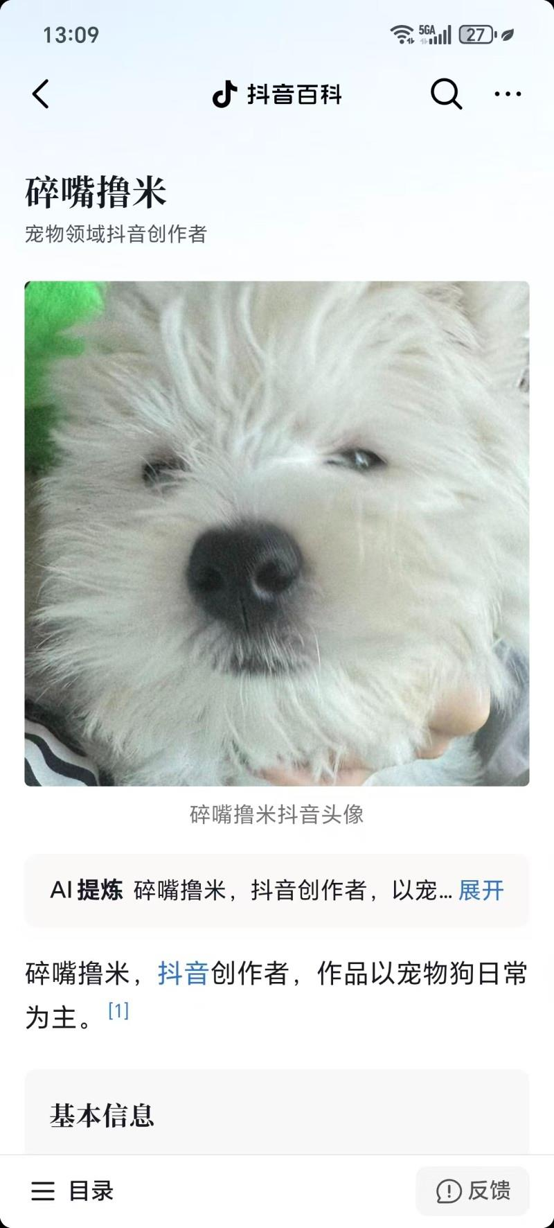 网友通过视频慢放捕捉到视频中出现「东北雨姐」画面。(视频截屏)