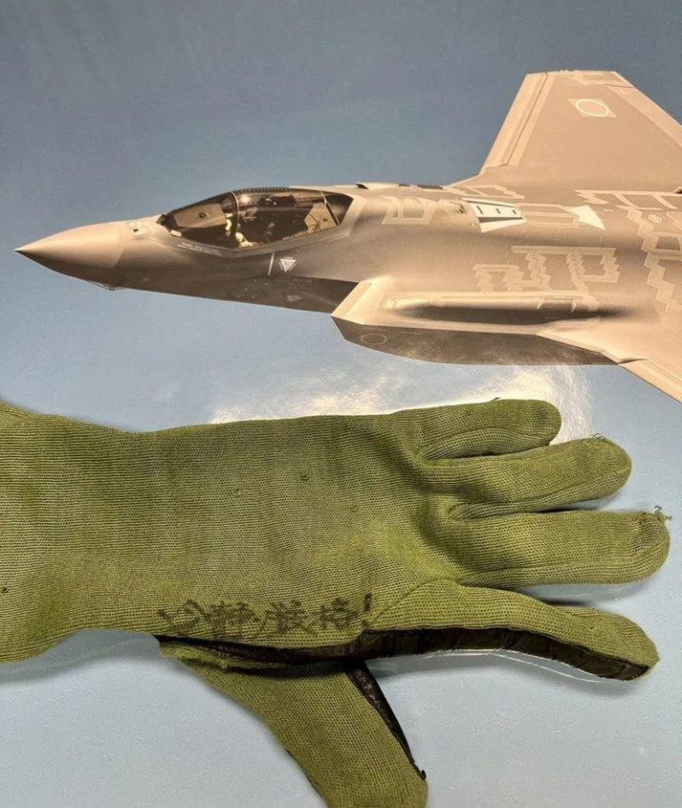 日本防卫大臣小泉进次郎在社群媒体X公开，曾任F-15战机飞行员、统合幕僚长内仓浩昭实际配戴过的手套，上面写着「冷静严格」。（取材自小泉进次郎X@shinjirokoiz）