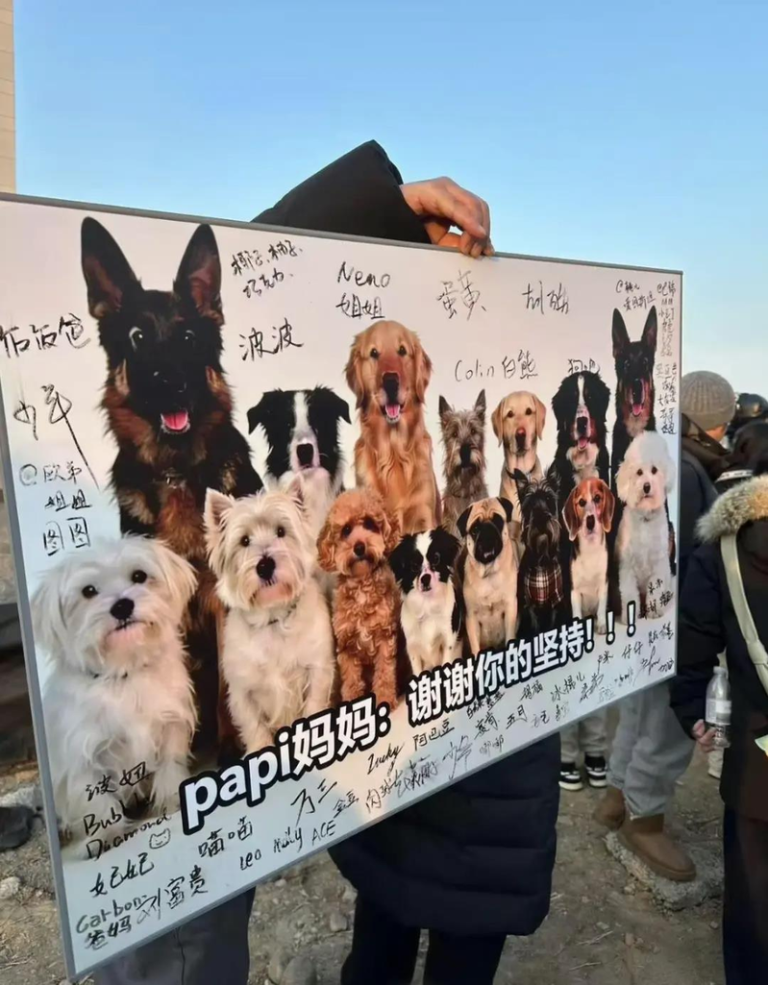 爱犬遭毒死 饲主苦等千日讨公道 等来「注定是输的赢」 受害犬主用看板感谢「Papi妈妈」。(取材自微信公众号「最人物」)
