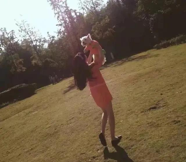 受害犬主用看板感谢「Papi妈妈」。(取材自微信公众号「最人物」)