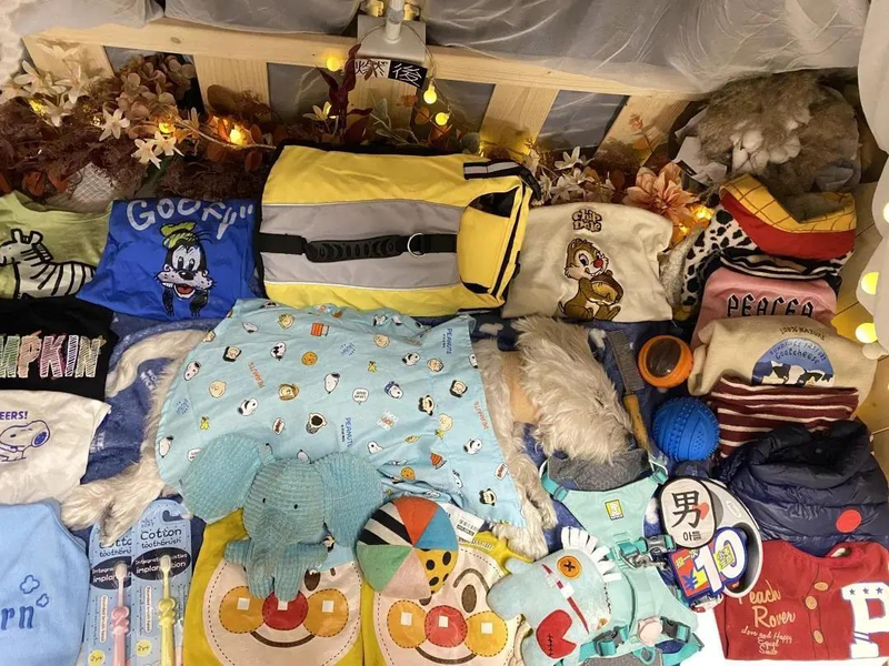 受害犬主用看板感谢「Papi妈妈」。(取材自微信公众号「最人物」)