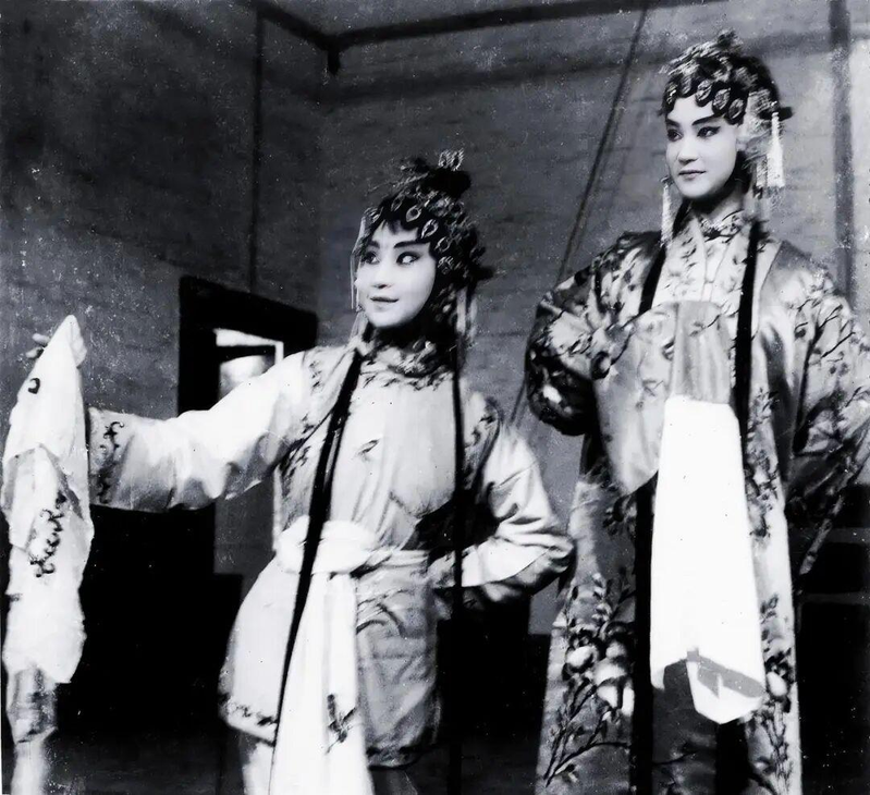 何晴被称「古典第一美女」。（取材自微博）