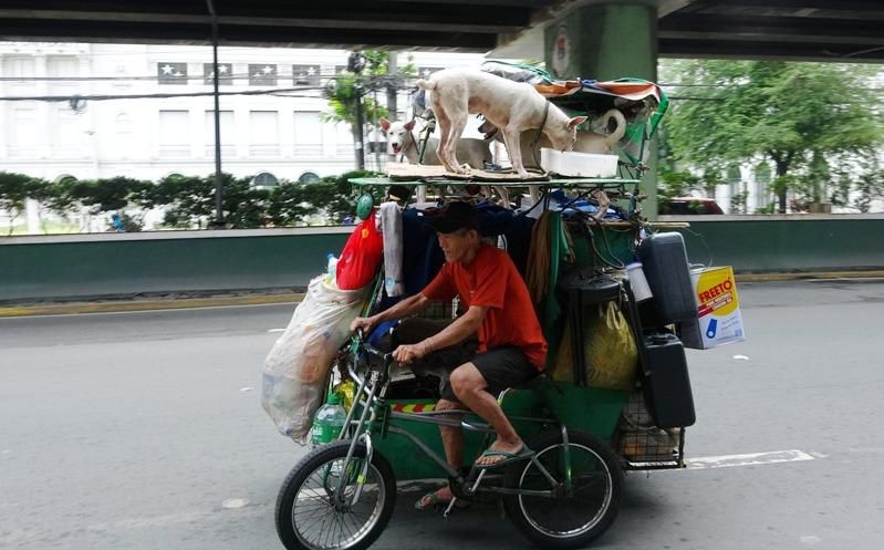 以三轮车为家的67岁马尼拉街友卡罗斯，即使连自己的温饱都难以顾全，仍无怨无悔守护6条流浪狗，感动无数网友。(中央社)