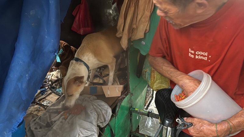 以三轮车为家的67岁马尼拉街友卡罗斯，即使连自己的温饱都难以顾全，仍无怨无悔守护6条流浪狗，感动无数网友。(中央社)