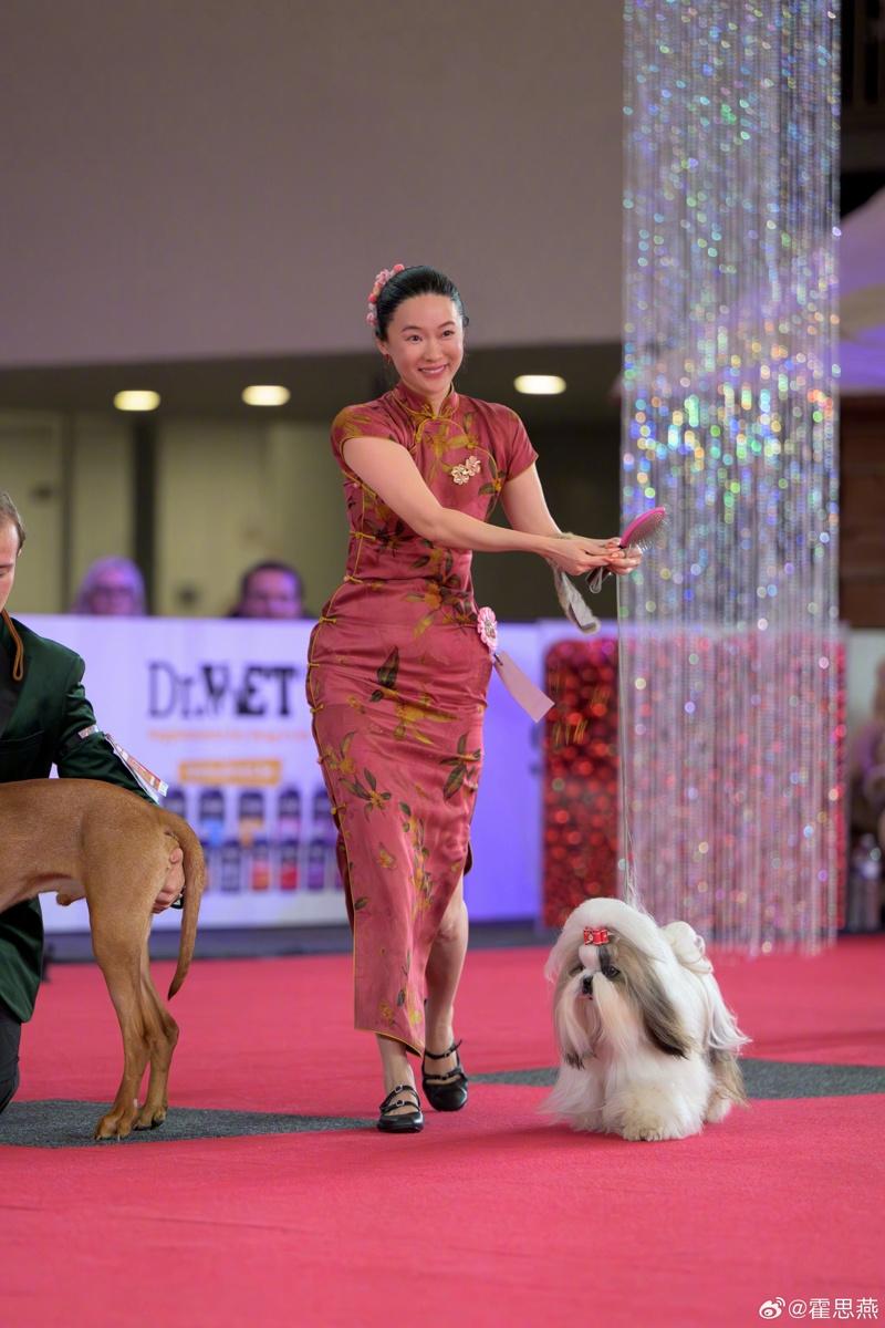霍思燕和她的爱犬荣获全场总冠军JBIS2。（取材自微博）