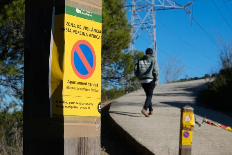 西班牙11月28日证实,在距巴塞隆纳21公里的科尔塞罗拉公园(Collserola)发现的两头死亡野猪,经检测后罹患非洲猪瘟。图为1日在科尔塞罗拉公园入口处,张贴禁止民众进入的告示牌。欧新社