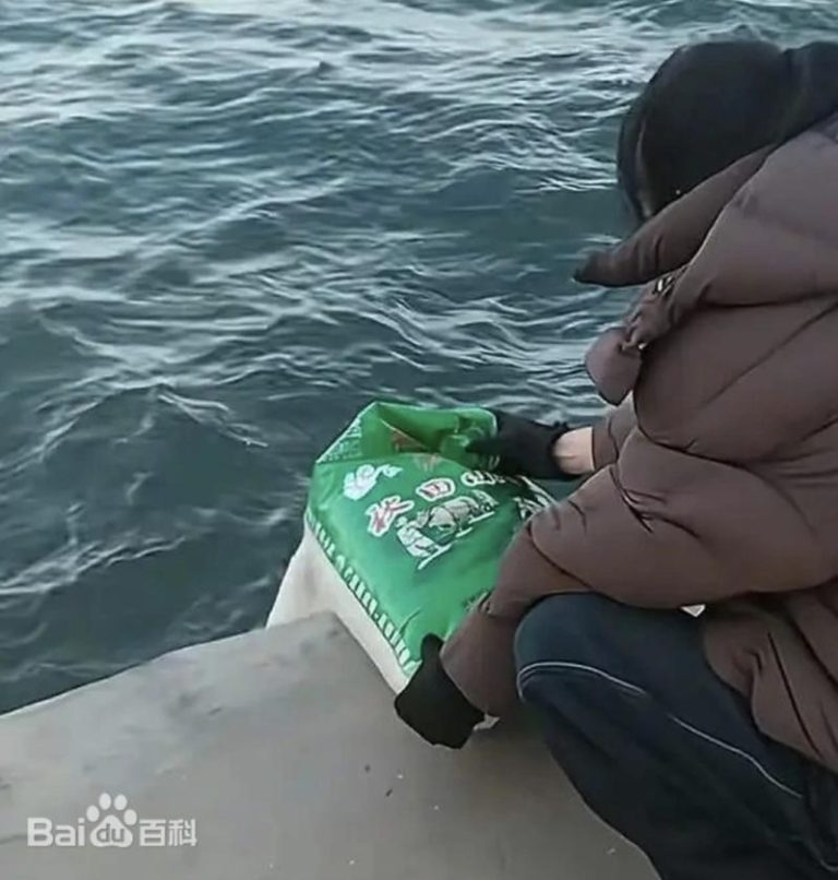 近期有民众在辽宁葫芦岛一处海边码头向海中倾倒大米，表示在「放生」大米。（取材自百度百科）