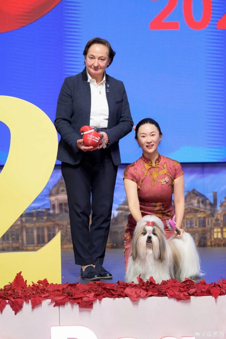 霍思燕和她的爱犬荣获全场总冠军JBIS2。（取材自微博）