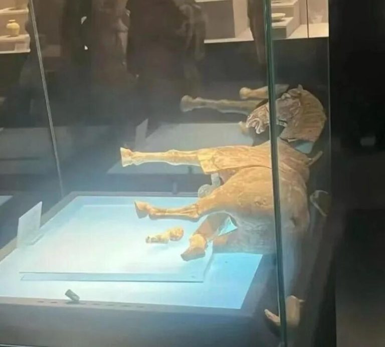 洛阳博物馆出现文物破损事件，苦主为唐代彩绘贴金陶马。(取材自微博)