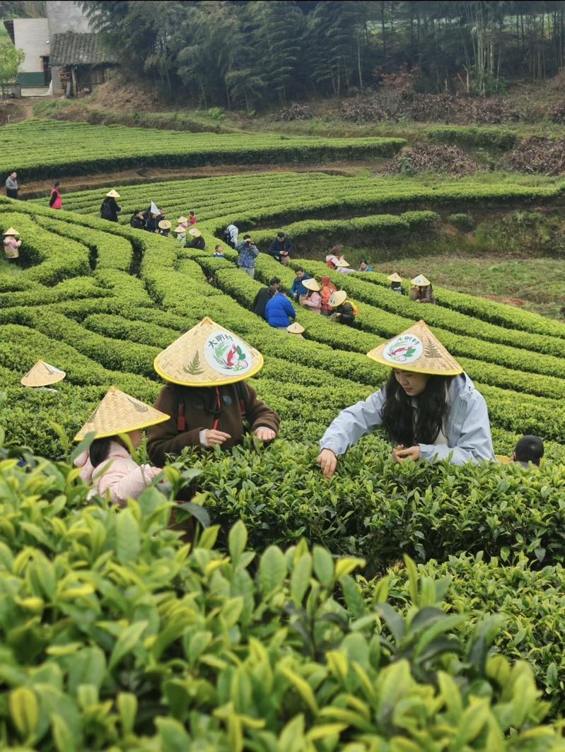 霸王茶姬门店。(取材自微博)