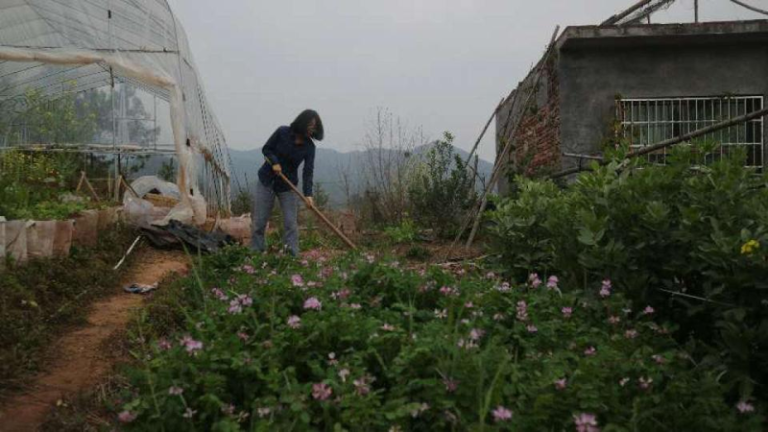 2018年，缪睫在小屋后院锄地。（取材自南方周末／受访者供图）