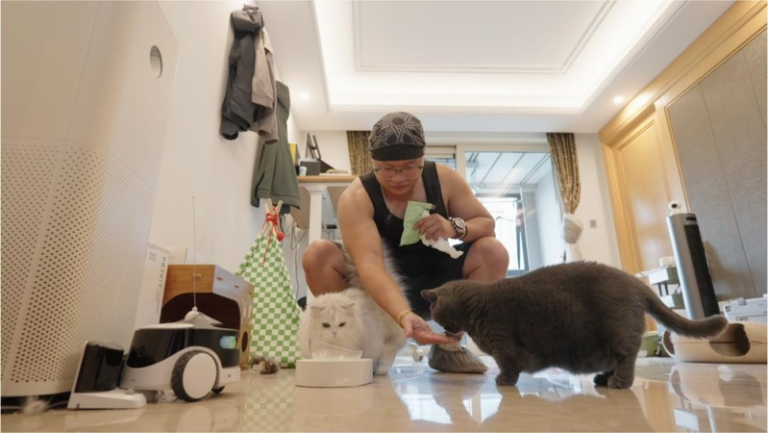 中独居人口超1.2亿成「灰犀牛」 陪伴、餐食…孤独经济崛起 宠物经济中的「上门喂猫」服务 。(取材自东方网)