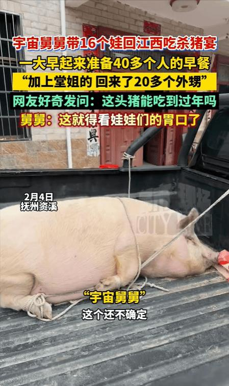 宇宙舅舅带16个外甥回江西杀年猪。(视频截屏)