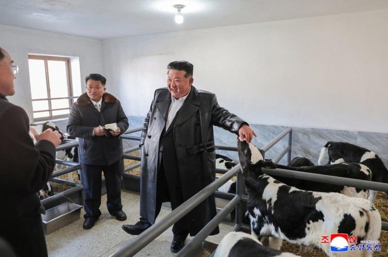 继承祖父头衔? 金正恩传重启已废止多年的「主席制」 北韩领导人金正恩据传可能继承其祖父、已故领导人金日成曾使用的「主席」头衔;图为金正恩2日出席了位于北韩平安北道的一处畜牧场的开幕仪式。(路透)