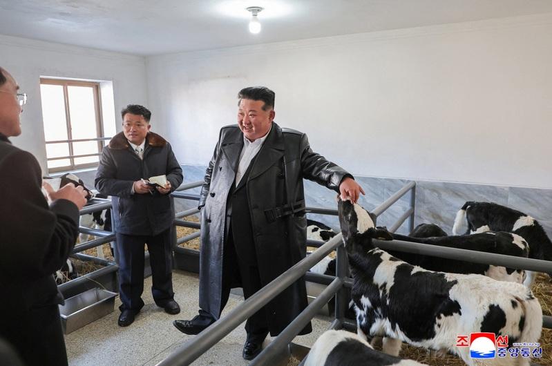 北韩领导人金正恩据传可能继承其祖父、已故领导人金日成曾使用的「主席」头衔;图为金正恩2日出席了位于北韩平安北道的一处畜牧场的开幕仪式。(路透)