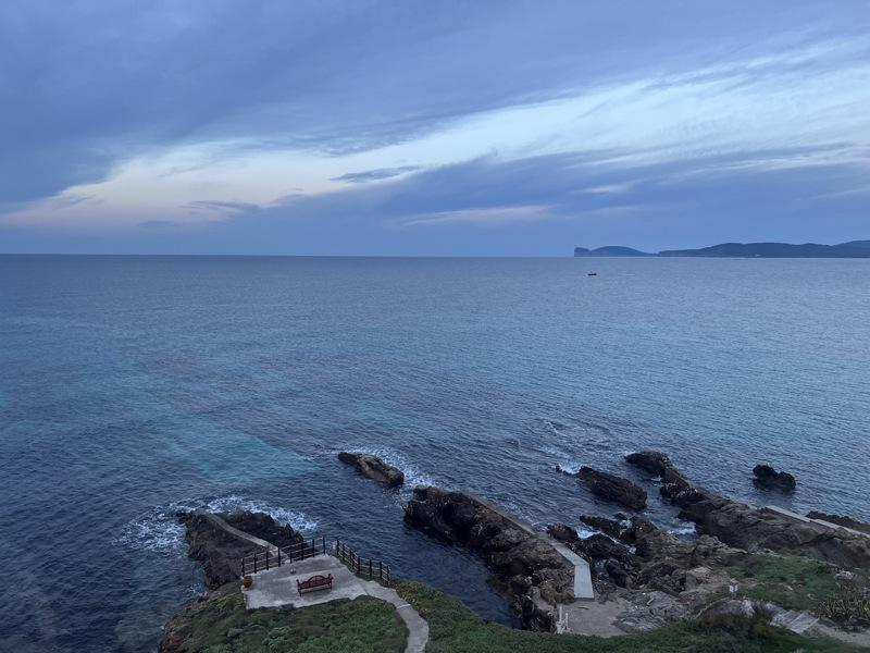 采集地中海红珊瑚需要潜水到深海,经常有潜水员因此丧命。图为阿尔盖尔红珊瑚水族馆内展示的红珊瑚。(中央社)