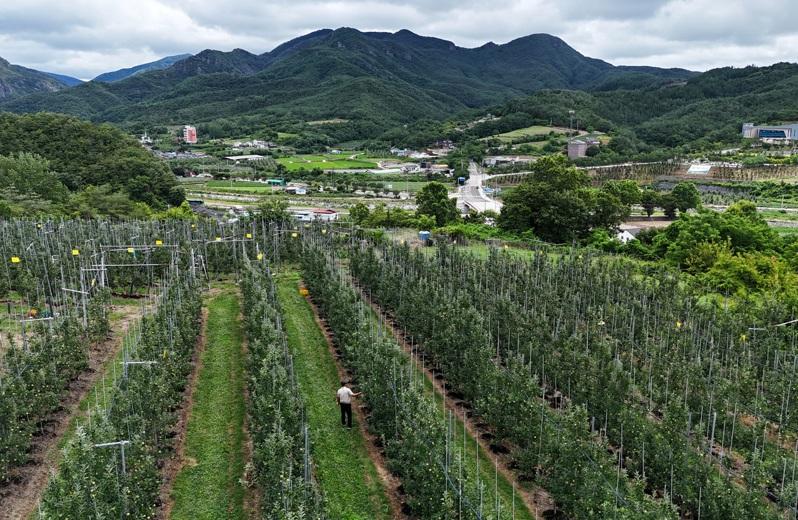 南韩政府本月底在全国10个郡县试办基本收入计划,在这些地区实际居住三天或以上的居民每月可领取15万韩元。 路透