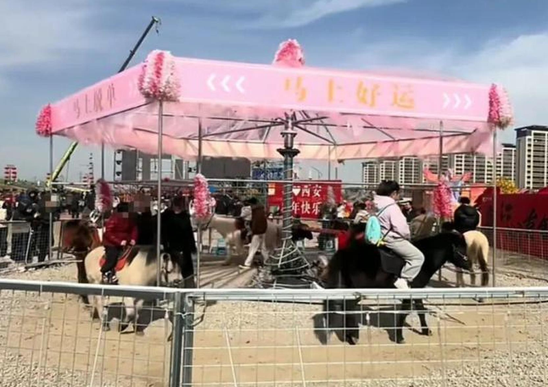 西安诗经里景区出现「旋转真马」。(取材自极目新闻)