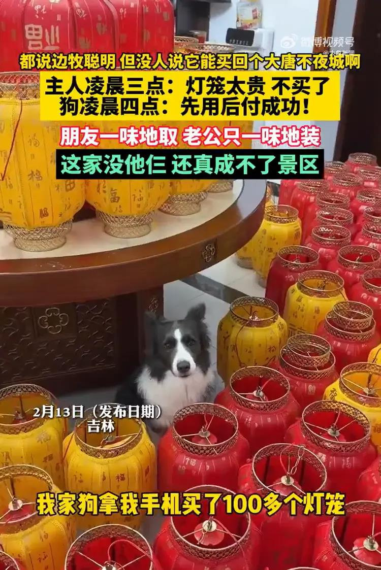 女博主的家在安装新灯笼后犹如「大唐不夜成」。（视频截屏）