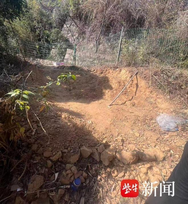 「三三」租的地布满乱石和杂草。(取材自扬子晚报)