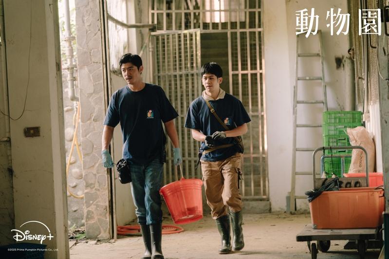 邵雨薇在「动物园」中与寿山动物园的多位「动物明星」交互。(图/Disney+提供)