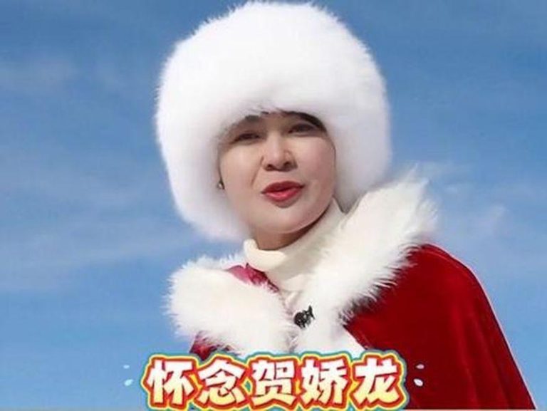 贺娇龙。（视频截屏）