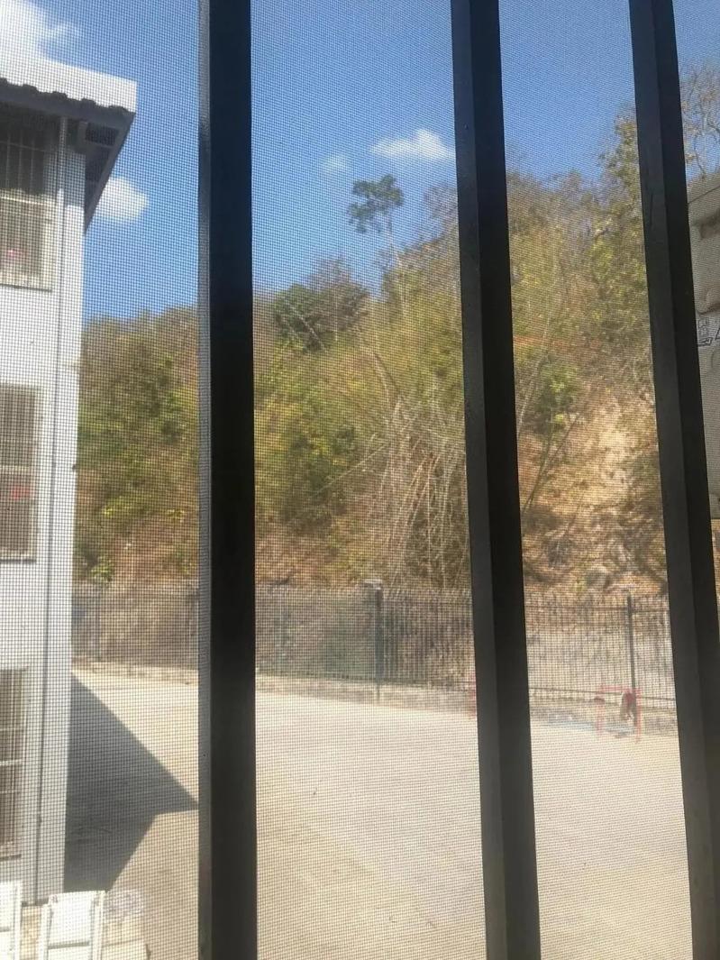 铁栏之间疑似装有监视摄影机 。(取材自红星新闻)