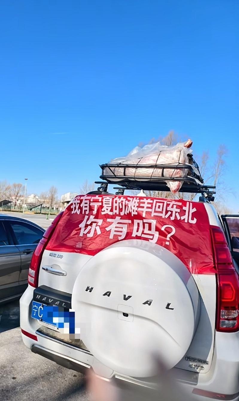 网友偶遇私家车拉横幅炫耀买到宁夏滩羊。 (取材自极目新闻)