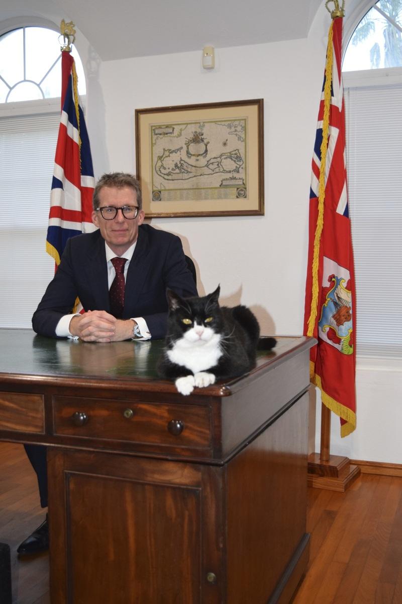 英国外交部前「首席捕鼠官」帕默斯顿(Palmerston)12日去世。(美联社数据照)