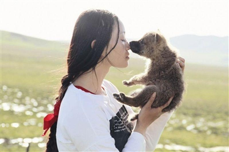 纪录片「重返狼群」宣传图。(取材自微博)