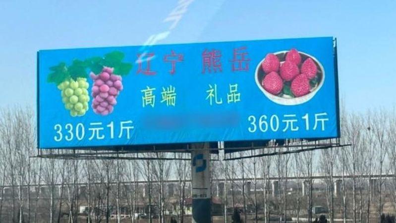 中国网友在高速上拍到一则水果广告牌,「葡萄330元一斤,草莓360元一斤」。(视频截屏)