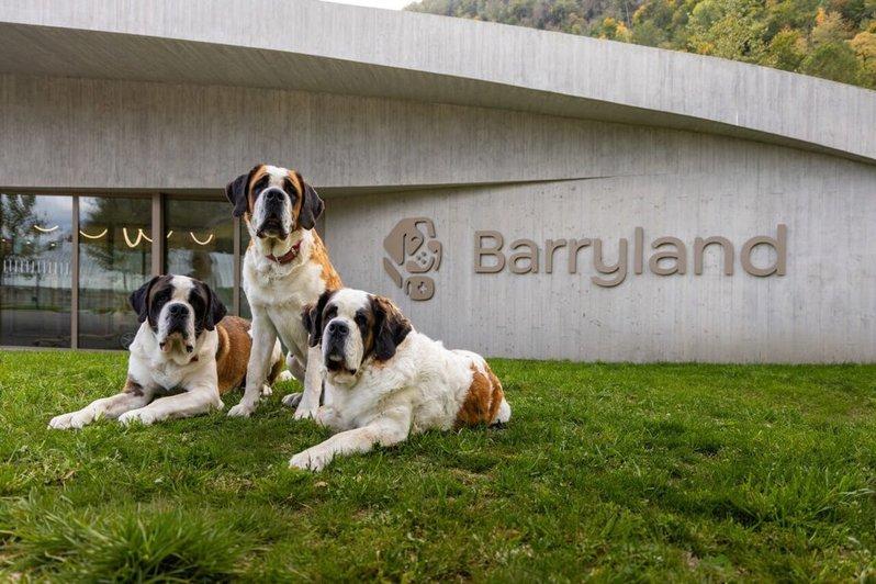 瑞士瓦莱州的圣伯纳犬中心,任务使命是让这个大型犬种持续出现在牠们的起源地「大圣伯纳山口」,象征文化延续与情感传承。人与动物的共生关系,不因时代演变而消失。(取材自Barryland圣伯纳犬中心)