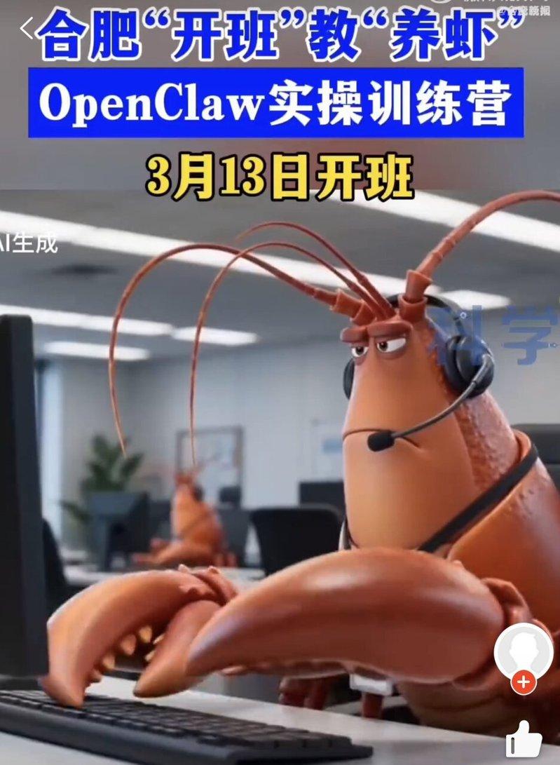 业者开班教授「养龙虾」的宣传视频。(取材自小红书)