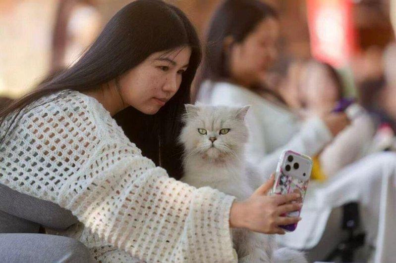 一位游客举着手机跟猫咪自拍。（取材自南方周末）