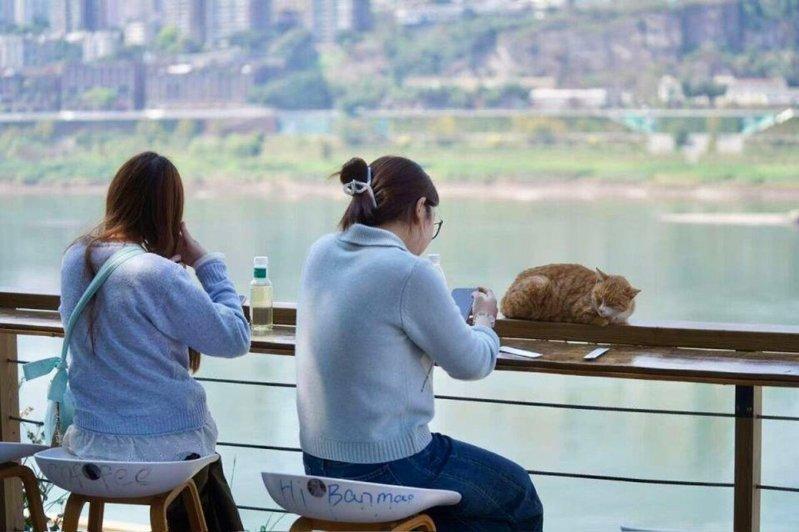 两位游客坐在长江边的椅子上玩手机。（取材自南方周末）