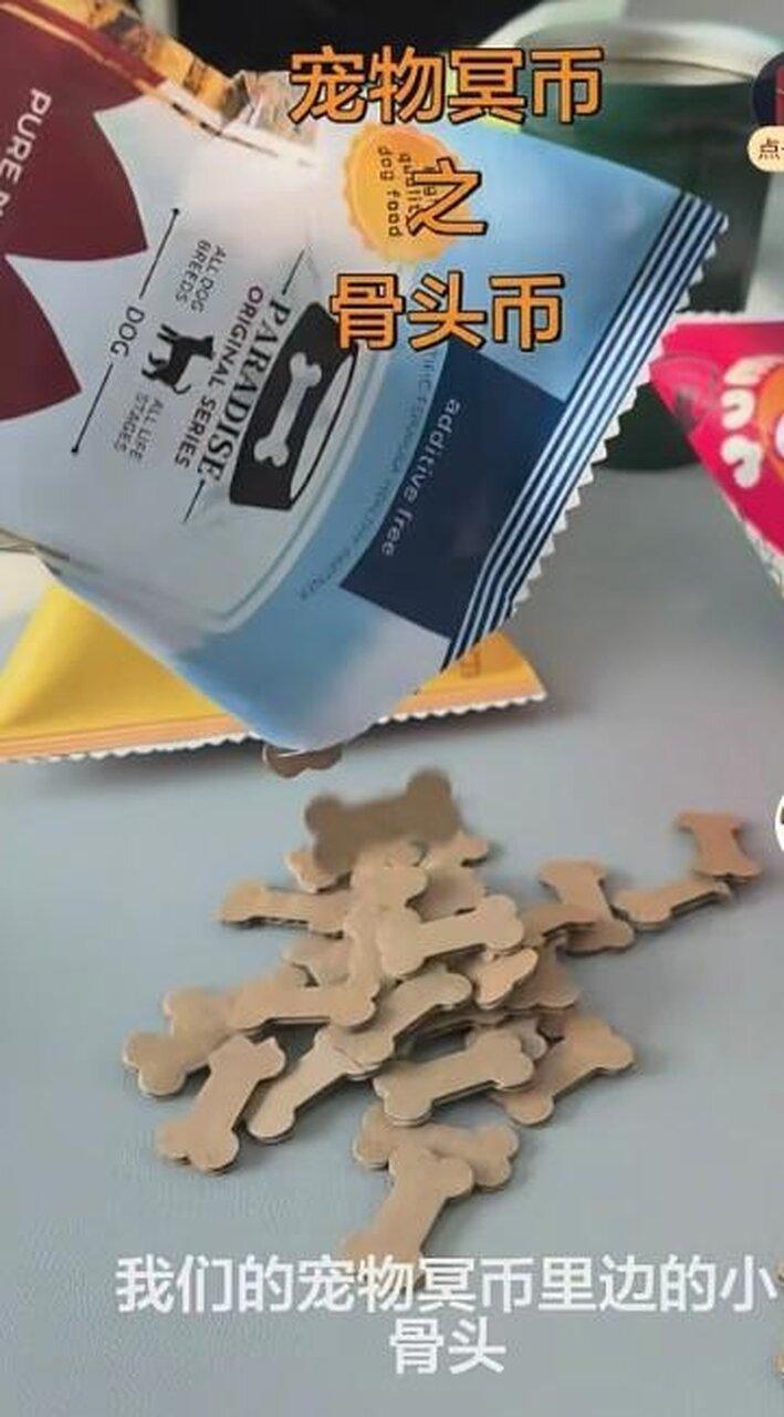 宠物冥币之骨头币。(视频截屏)