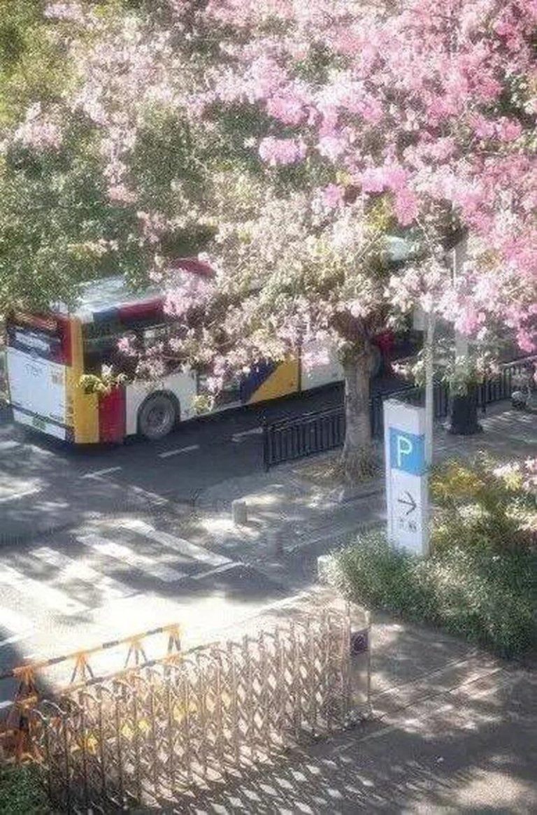 韩网友发街头照「这是首尔」 咦…咋有「广州公交」? 南韩网友偷广州街头美景图,配文「这就是首尔!」浏览破百万,照片中公交车尾清晰印有...
