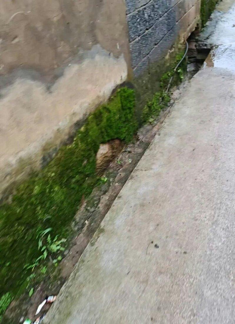 方某某遭抛尸地点。(取材自大河报)