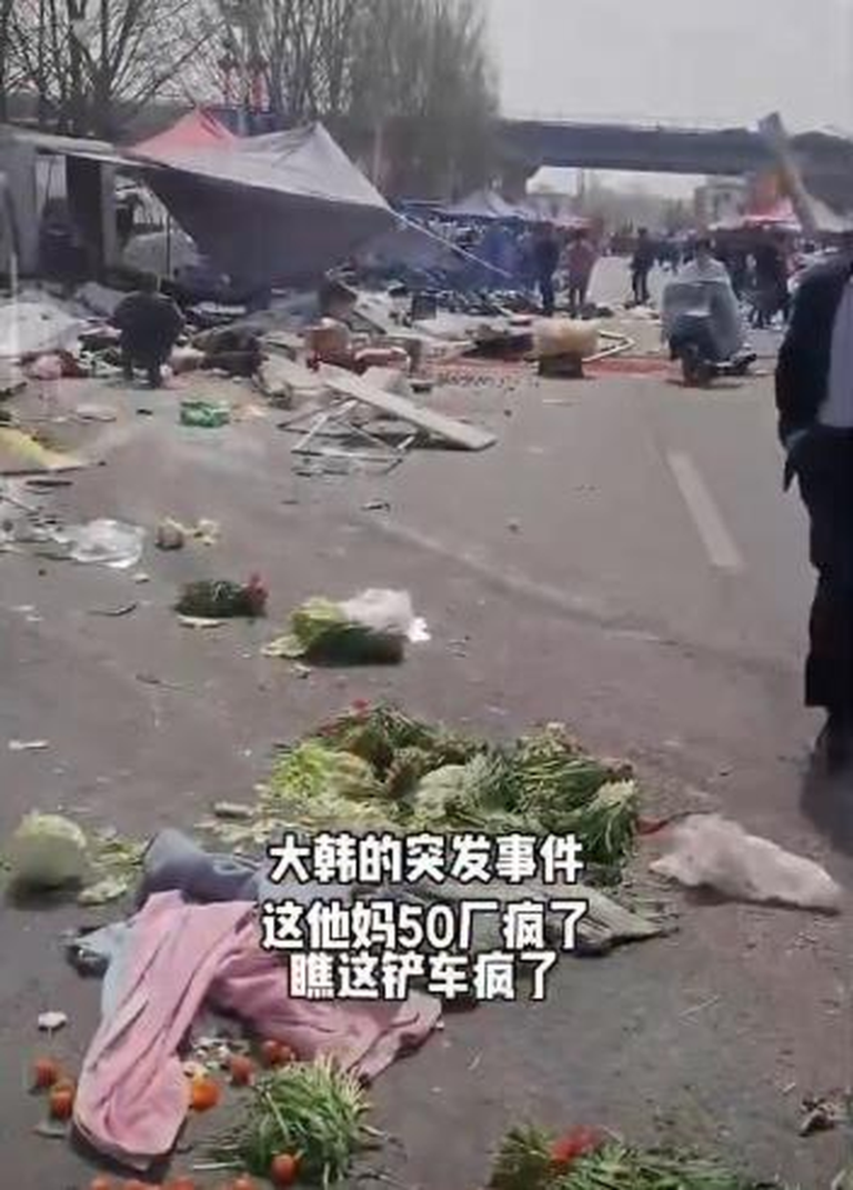 网传影片指，北京房山的大韩继大集，29日有人驾驶铲泥车冲撞入人群，多人倒地受伤。...