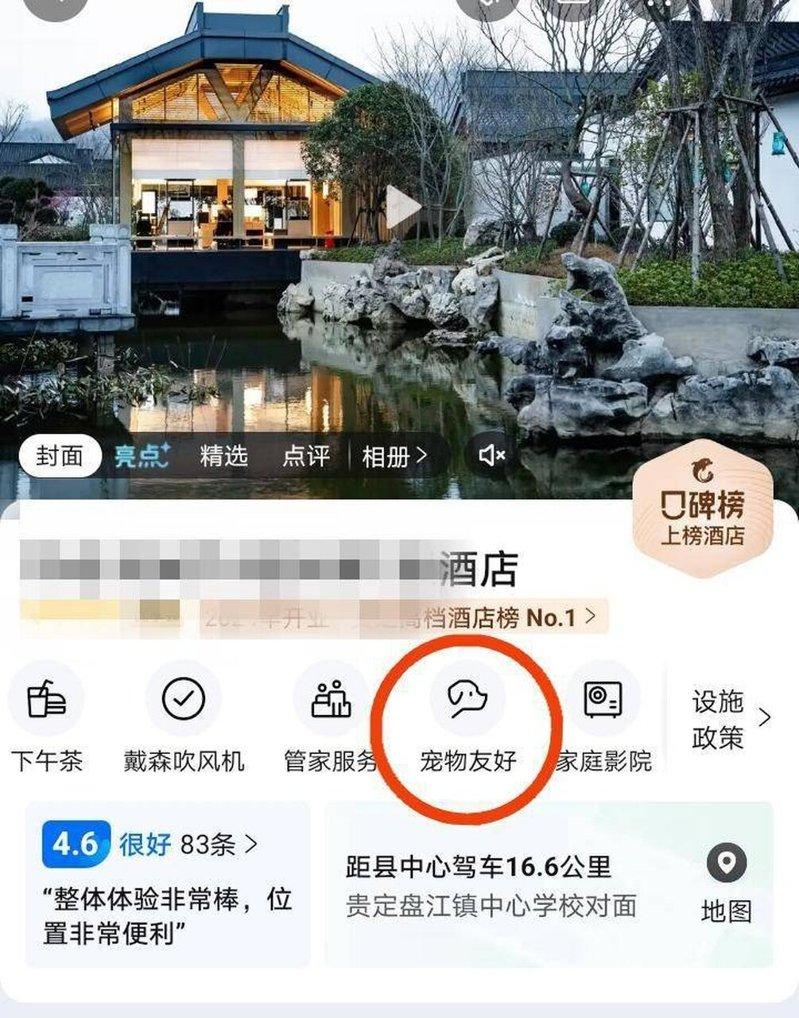 该酒店在预订平台上有「宠物友好」标签。(取材自极目新闻)