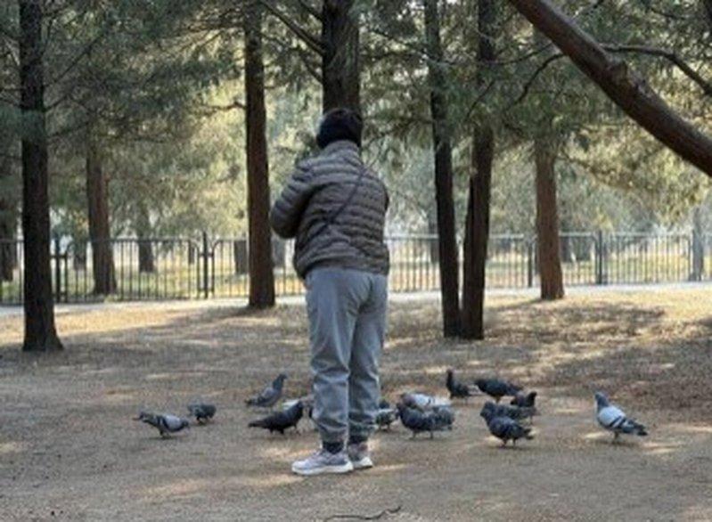 正在撒粮食投喂小动物的刘阿姨。(取材自北京晚报微信公众号)
