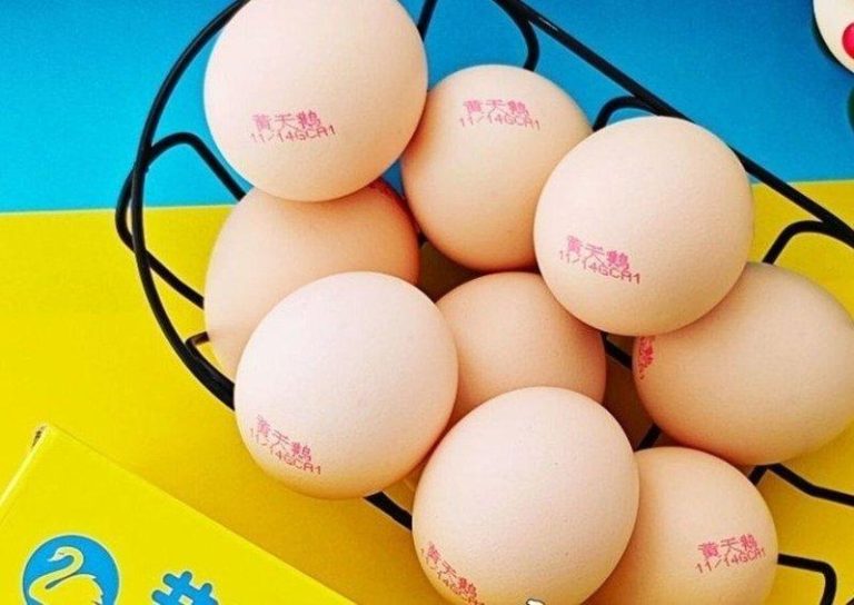 「黄天鹅」鸡蛋人工色素超标?创始人冯斌:没添加 黄天鹅鸡蛋被推上风口浪尖。(取材自微博)