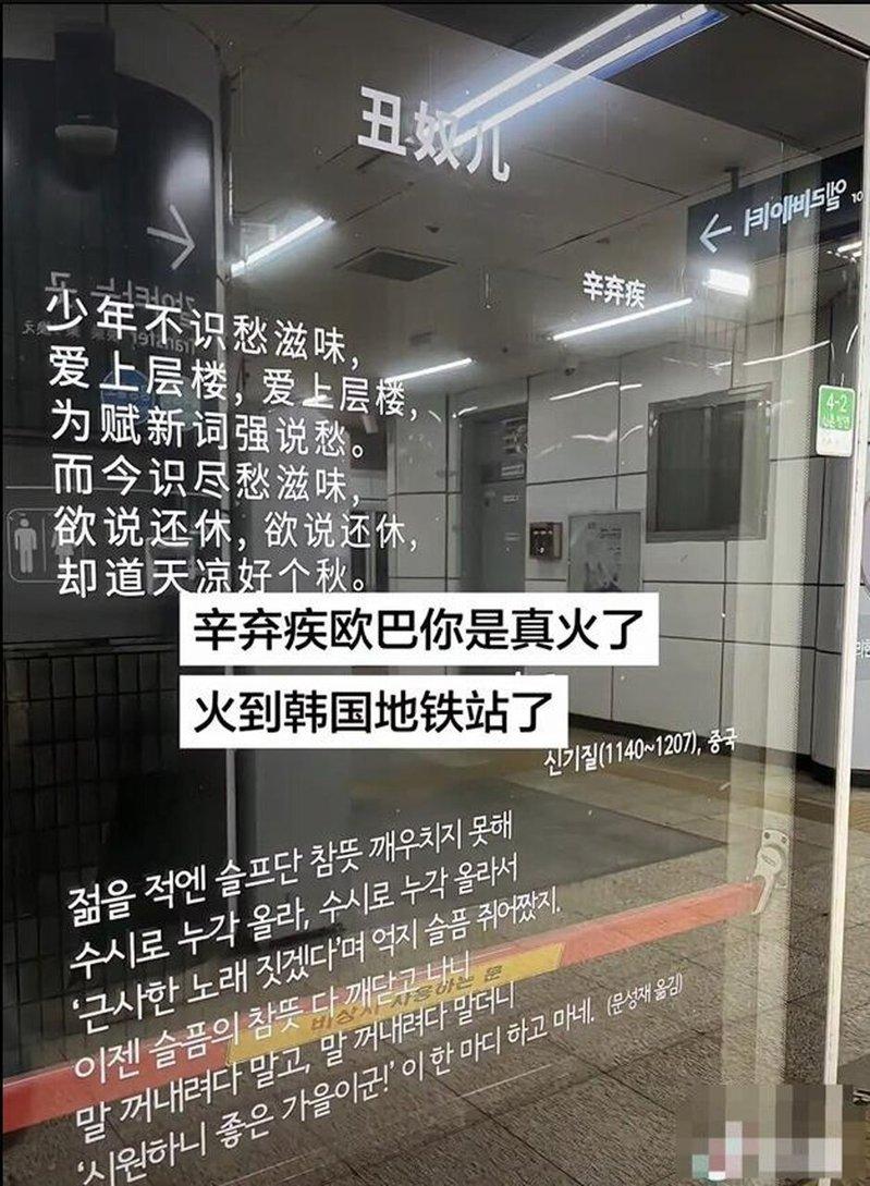 一名中国游客发视频称,在南韩南韩一处地铁站站台的玻璃门上看到了辛弃疾的诗词。(视频截屏)