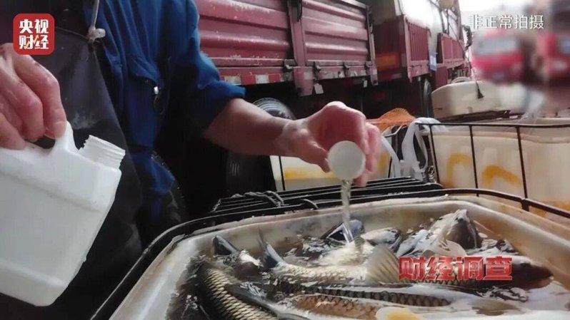 工人往装活鱼的桶内加入安定剂。(央视财经视频截屏)
