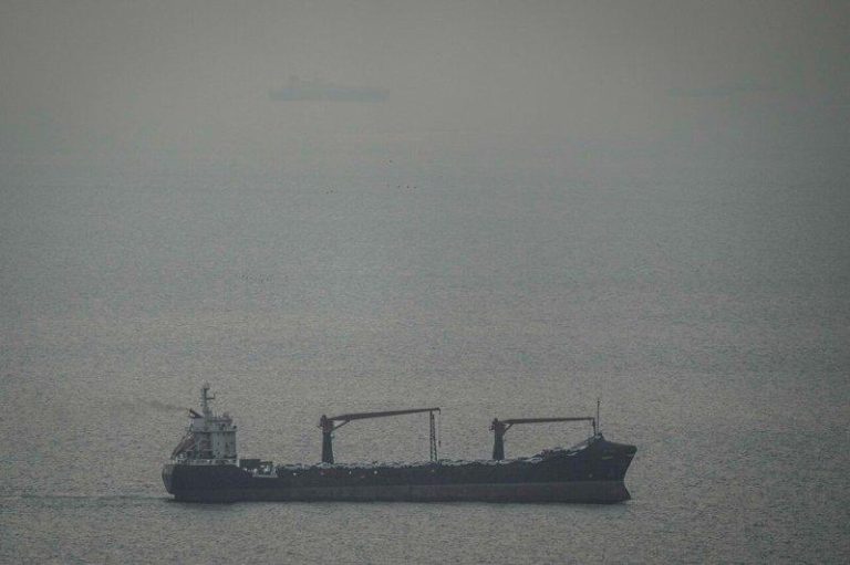 伊朗借联合国机构正式宣布 满足3条件可安全通行荷莫兹海峡 一艘货船22日行经阿拉伯湾朝荷莫兹海峡方向前进。(美联社)