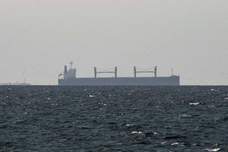 伊朗遭爆金库藏亚洲 开战后石油收入翻倍 油轮通行荷莫兹内幕见光 一艘货船11日在波斯湾、靠近荷莫兹海峡海域。(路透)