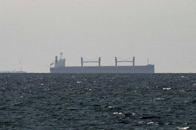 保护费来真的?伊朗正设立荷莫兹海峡「收费站」 以人民币、稳定币结算 伊朗正默默在荷莫兹海峡实质创建收费站。(路透)
