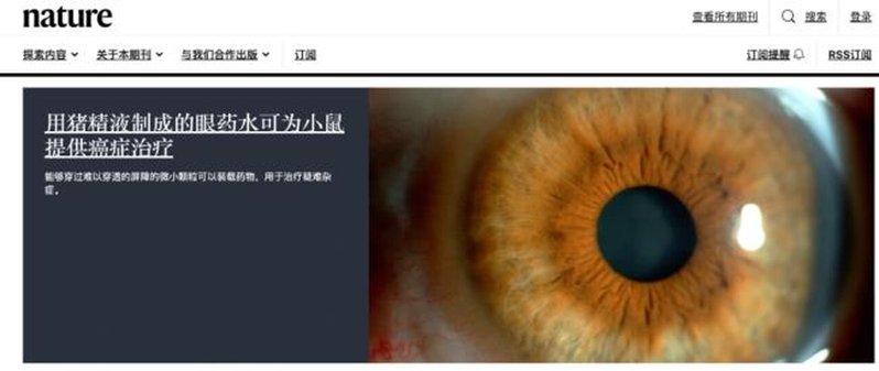 沈阳药科大学团队研究发现,猪精液制成的眼药水可治疗眼肿瘤,近日发表于《科学·进展...