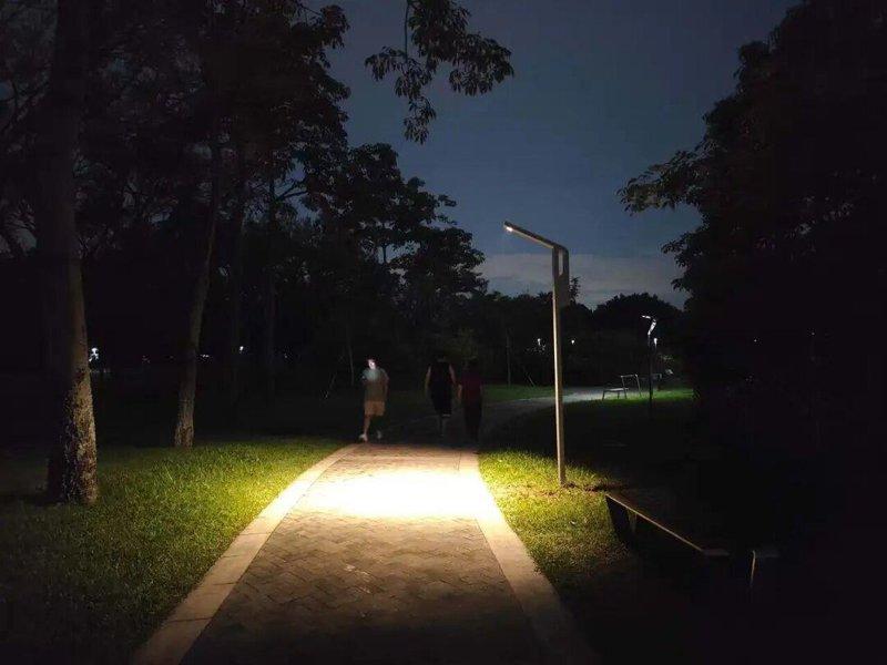 公园里的「鸟巢路灯」。（取材自深圳晚报）